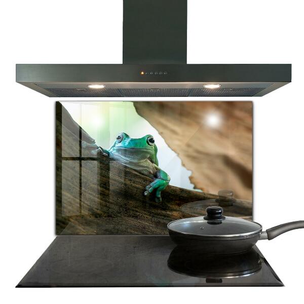 Painel cozinha Sapo curioso em uma folha