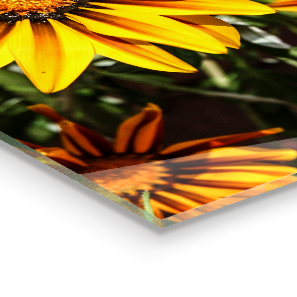 Painel cozinha Fumaça abstrata de rosa roxa