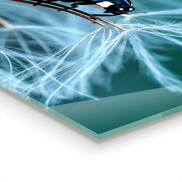 Painel para cozinha Joaninha Besouro Vermelho