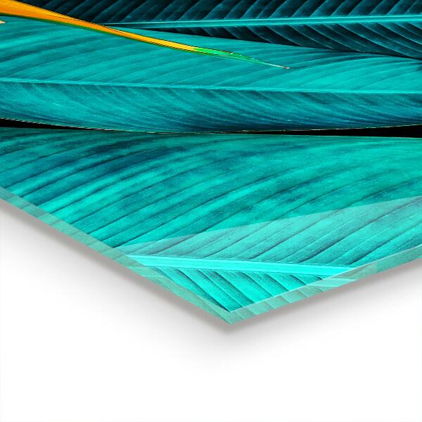 Painel para cozinha Flor de borboleta do prado de verão