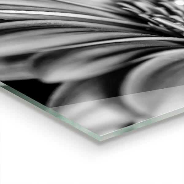 Painel para cozinha Macrofotografia de flores