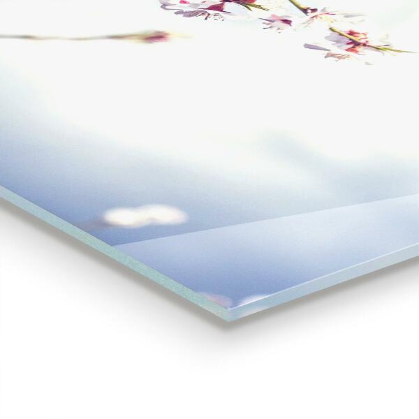 Painel para cozinha Poder Energético das Flores da Natureza