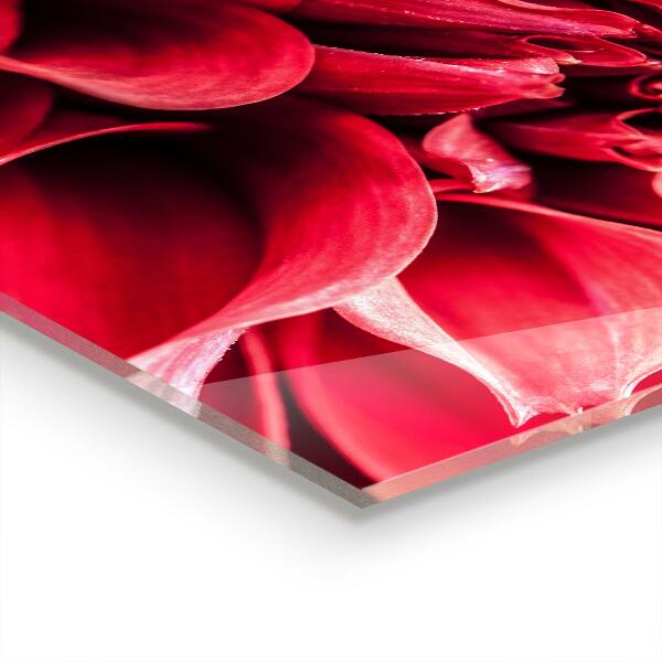 Backsplash cozinha Presentes de grãos da Mãe Natureza