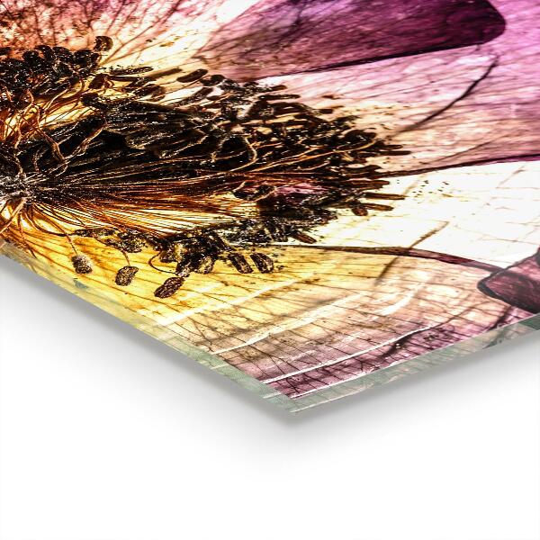 Backsplash cozinha Dente-de-leão delicado