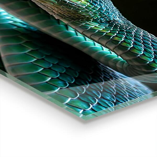 Painel para cozinha Vida selvagem de cobras