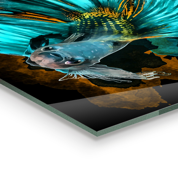 Backsplash cozinha Peixe tropical Betta