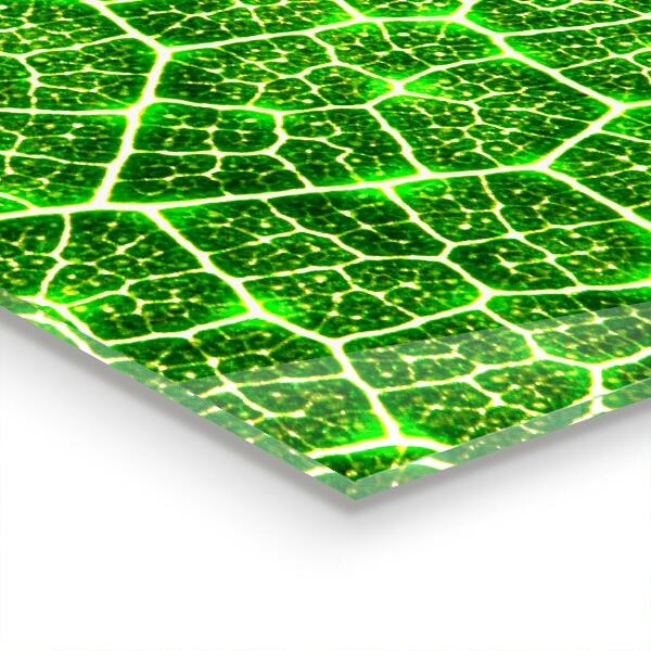 Painel cozinha Flor de borboleta do prado de verão