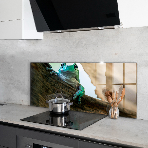 Painel cozinha Retrato de sapo africano