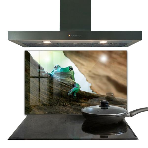 Painel cozinha Retrato de sapo africano