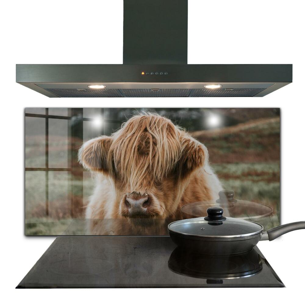 Painel de vidro para a cozinha Cow Highland Cottage Style