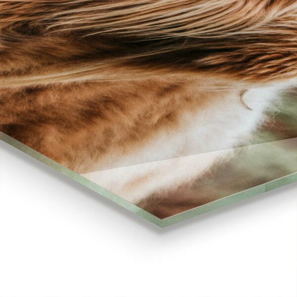 Painel para cozinha Casa de campo estilo Cow Highland